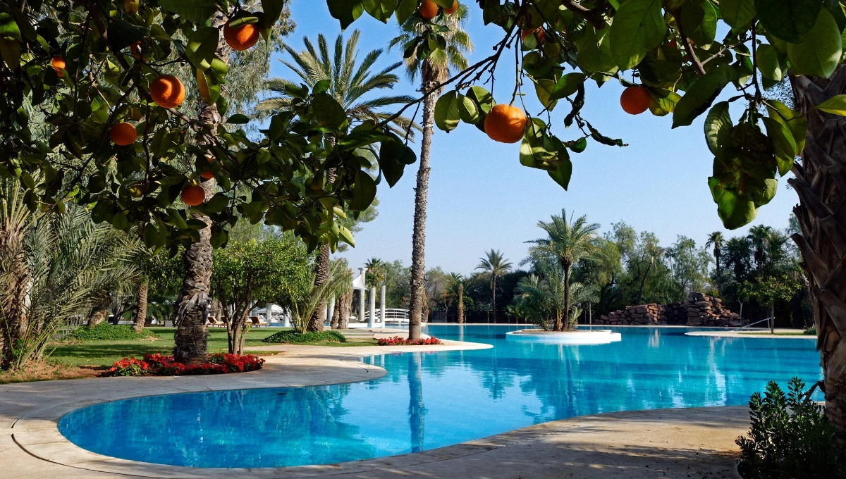 HÔTEL ESSAADI